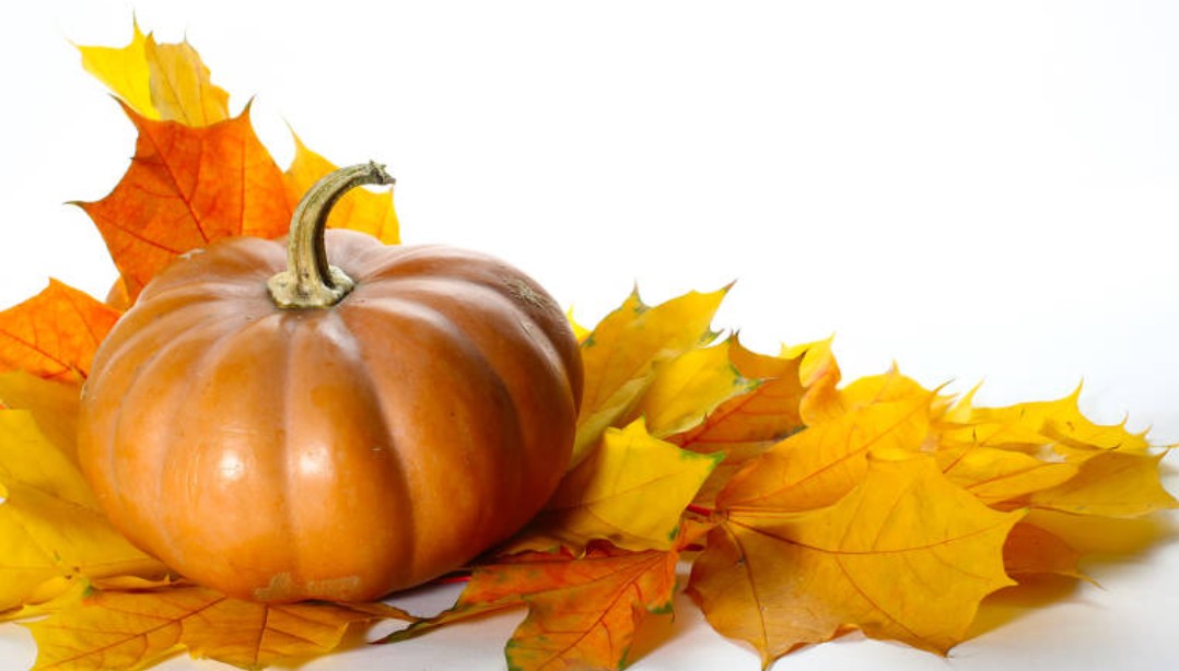  Fête de l'automne le 24 novembre - Mairie de Solaize Motiv 